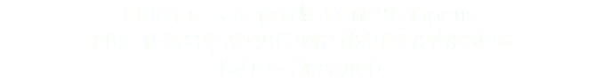 Николя Бакеро № 17 и 29 апреля Pbx: (593 2) 3949520/21/22/23/24/25/26 Кито - Эквадор